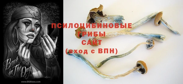 мяу мяу кристалл Магас