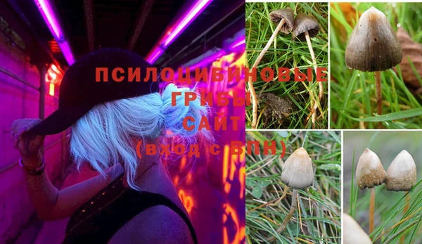не бодяженный Майский
