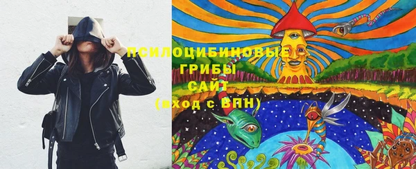 синтетический гашиш Медвежьегорск