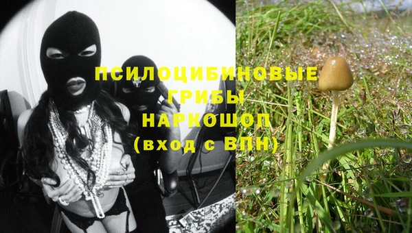 мяу мяу кристалл Магас