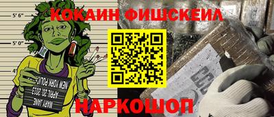 СК Кингисепп