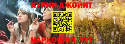 СК Кингисепп