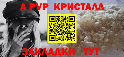 СК Кингисепп