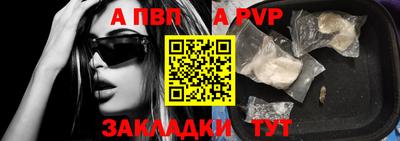 СК Кингисепп