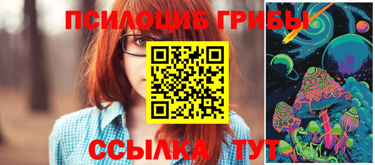 Псилоцибиновые грибы ЛСД  Псилоцибиновые грибы мухоморы  Отрадное  Вход с VPN 