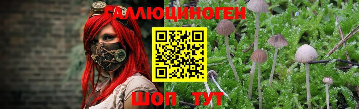 Псилоцибиновые грибы GOLDEN TEACHER Отрадное